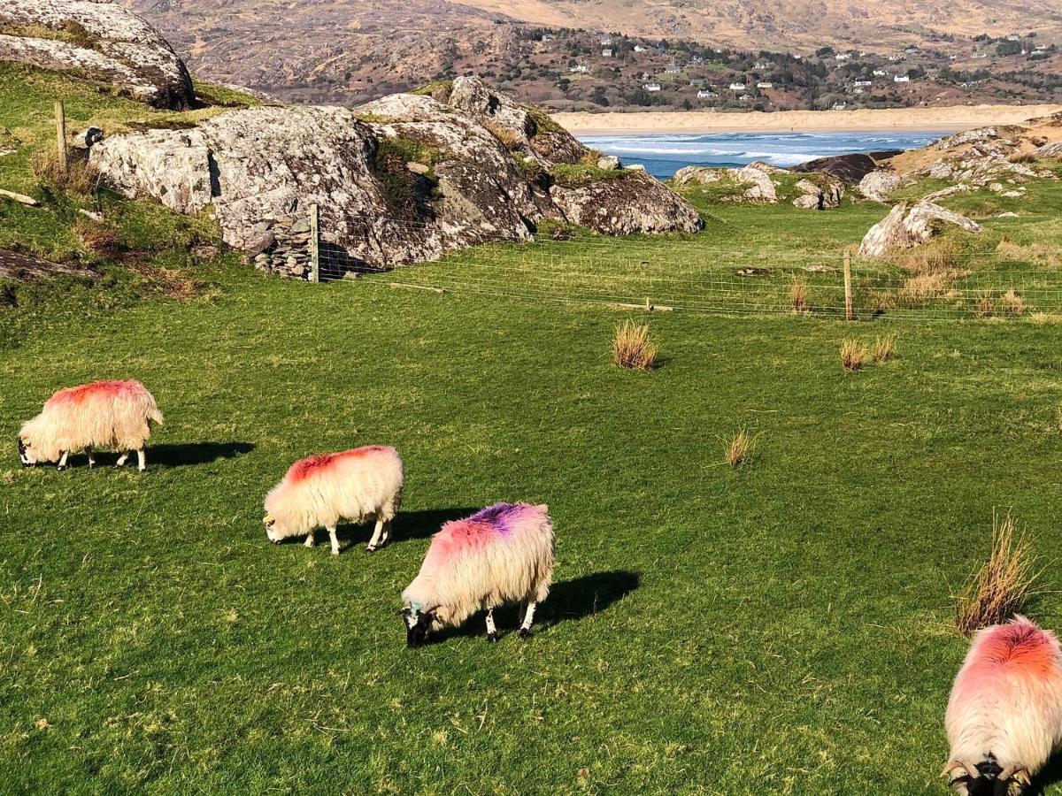 Derrynane Bay House Panzió Caherdaniel Kültér fotó